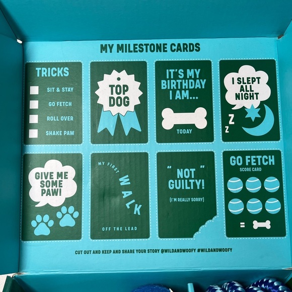 Dog Set. Collapsible bowl, leash, bow, tennis ball. NEW - Picture 6 of 10